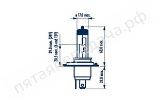 Лампа галоген Rallye High power performance for closed circuits only H4 12В 100/90Вт - 48901