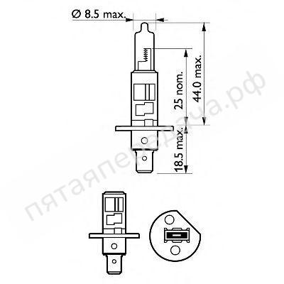 Лампа галоген LongerLife Ecovision H1 12В 55Вт - 12258LLECOC1