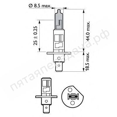 Комплект ламп накаливания WhiteVision, 2 шт - 12258WHVSM