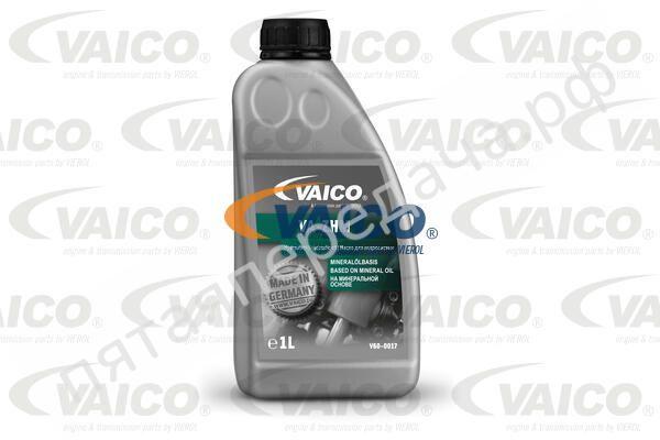 SAE 10W-40 - V600275S