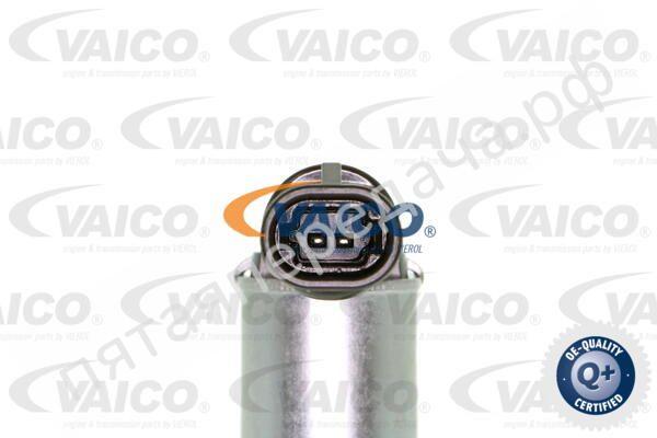 SAE 5W-20 - V600292S