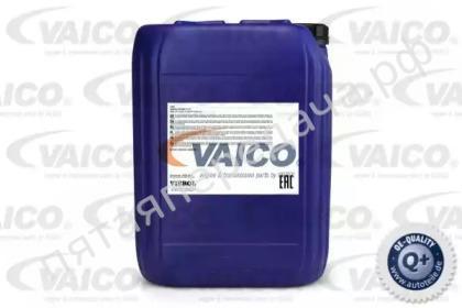SAE 5W-20 - V600294